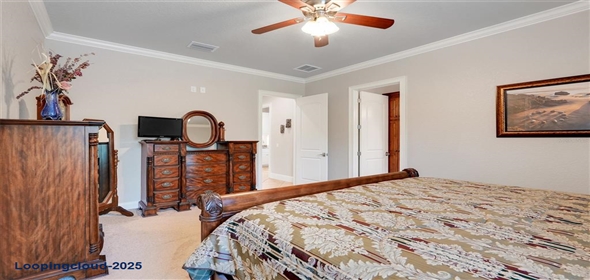 3979 MAMMOTH GROVE ROAD Lake Wales Florida, 33898 | One-of-a-Kind Energy-Efficient Custom Home