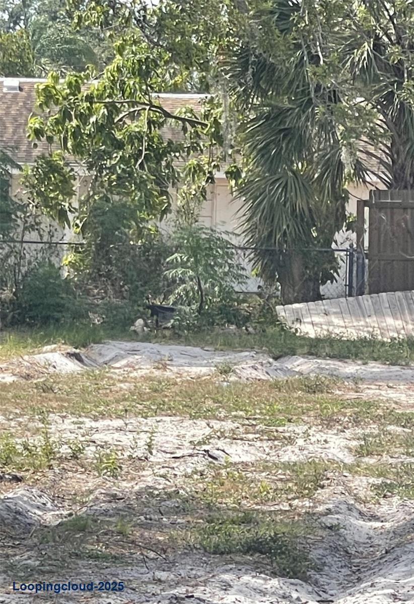 Build Your Dream Home in Whitfield Estates – Prime Sarasota Lot with Owner Financing!