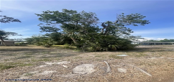 JUNGLE WAY, Sarasota Florida, 34243 | Build Your Dream Home in Whitfield Estates – Prime Sarasota Lot with Owner Financing!