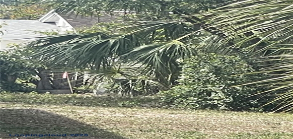 JUNGLE WAY, Sarasota Florida, 34243 | Build Your Dream Home in Whitfield Estates – Prime Sarasota Lot with Owner Financing!