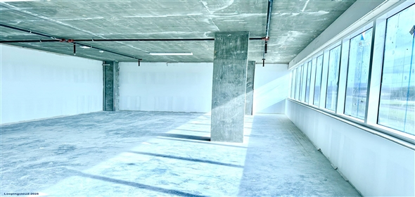 501 N Dixie Highway Hallandale Beach Florida, 33009 | Premium retail space