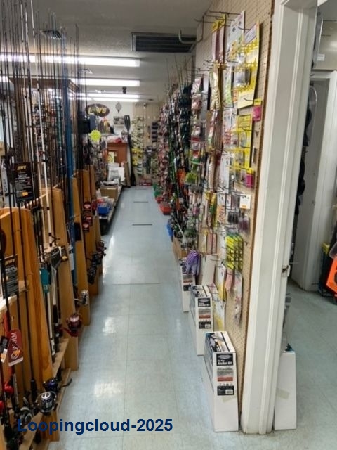Retail Property for Sale in Land O Lakes Florida 34639