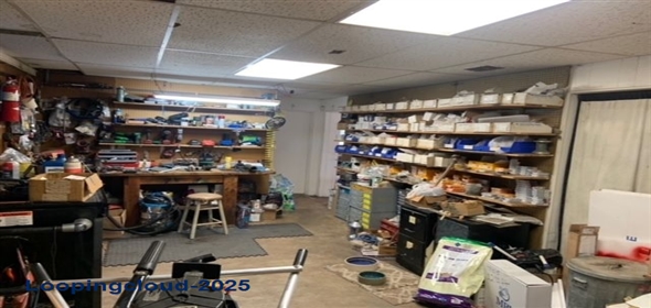 3702 Land O Lakes Blvd Land O Lakes Florida, 34639 | 2,458 SF Free Standing Retail- High Visibility on US41 in Tampa Metro