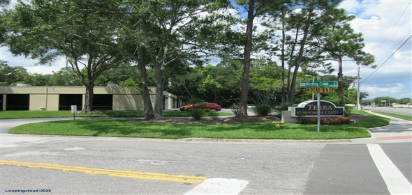 14906 Winding Creek Court Tampa Florida, 33613 | Terra Corp Business Office Park