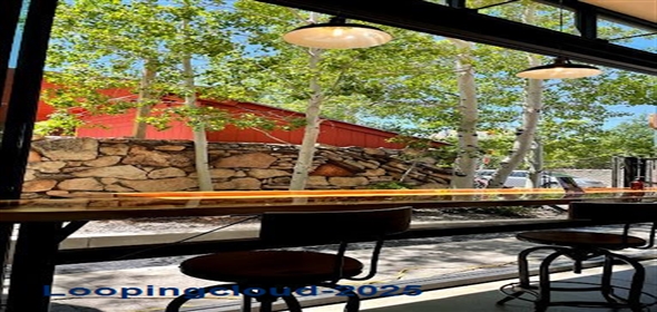 200 South San Francisco Street Flagstaff Arizona, 86001 | Fully Equipped Turn‑Key Coffee Lounge