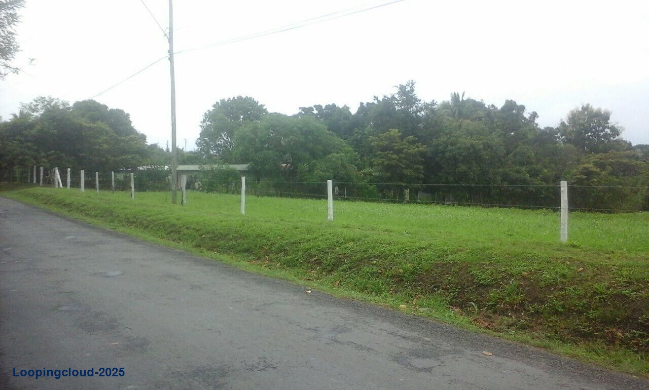 Commercial Property for Sale in Panama City Panamá Province 07033