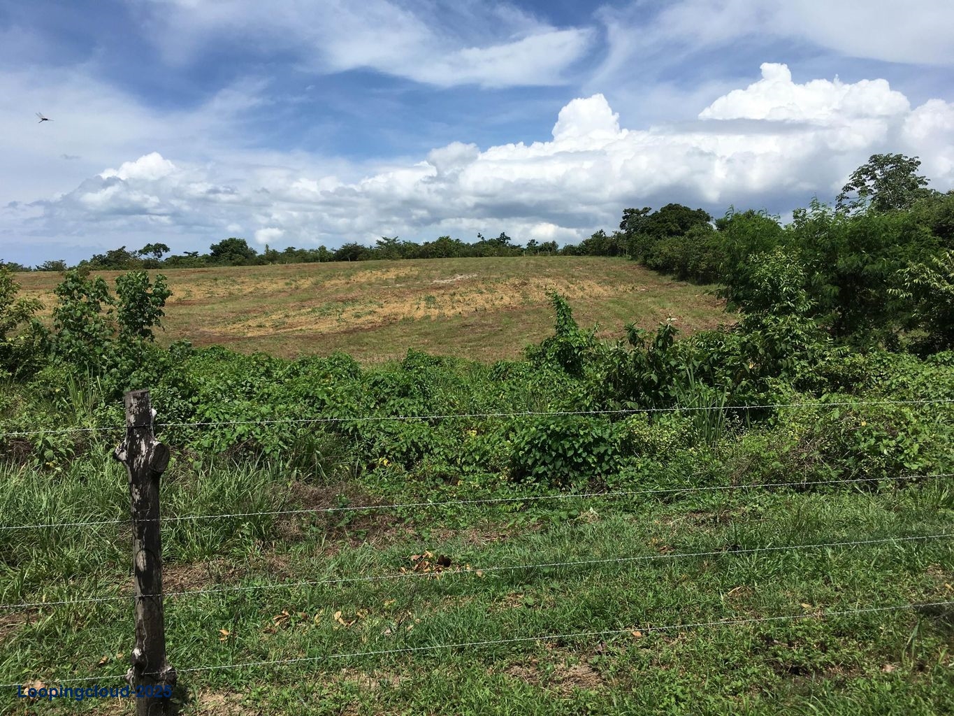 Commercial Property for Sale in Panama City Panamá Province 07033