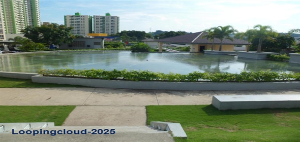 Rokas torre 6 Avenida Condado del Rey 22C, Bocas Del Toro Bocas del Toro, 07001 | Exclusive Apartment