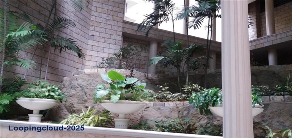 THE MIRAGE Avenida punta paitilla 18 Panama City Panamá Province, 07192 | Exclusivo Apartamento - Exclusive Apartment