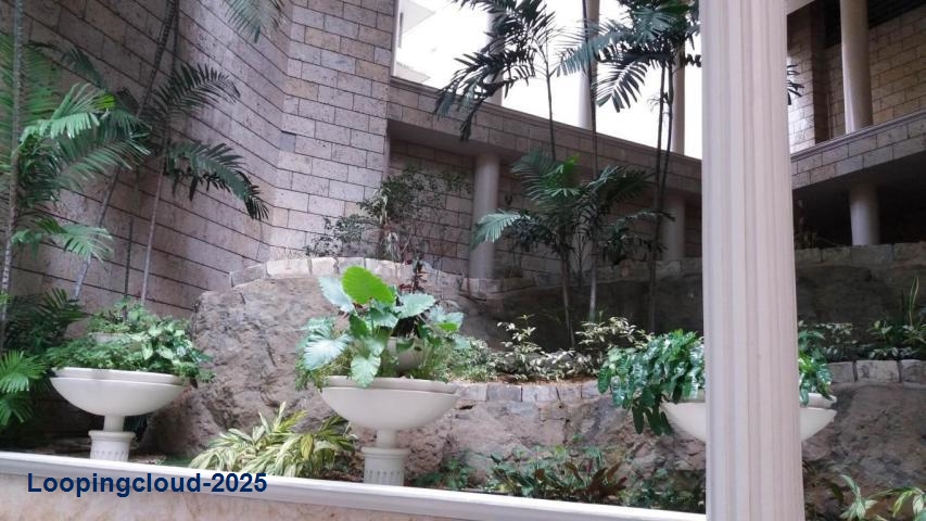 Exclusivo Apartamento - Exclusive Apartment