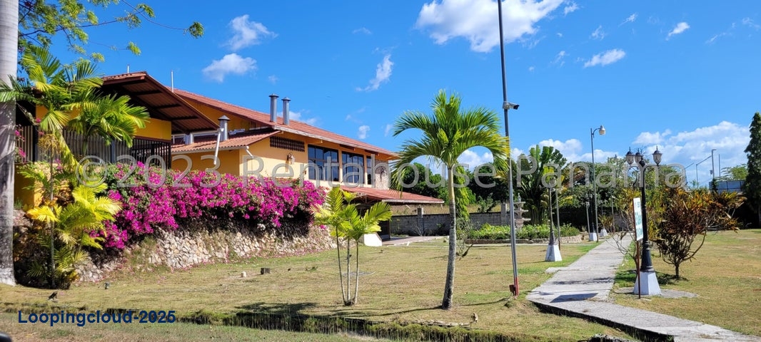 Commercial Property for Sale in Cocle Cocle 02007
