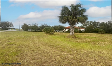 Lot 9 Lake View Center Phase 1 , Tavares Florida                                                                                              32778