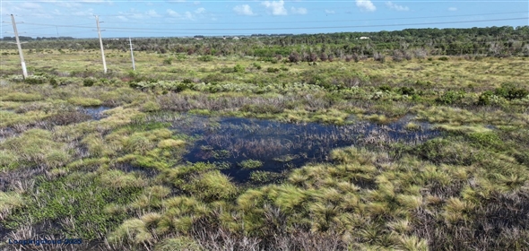 Barton Boulevard Rockledge Florida, 32955 | 574 Acres at I95 and Barton Boulevard