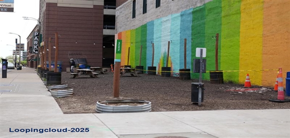 923 Locust Street Saint Louis Missouri, 63101 | Downtown St. Louis Commercial Lot-2660 SF