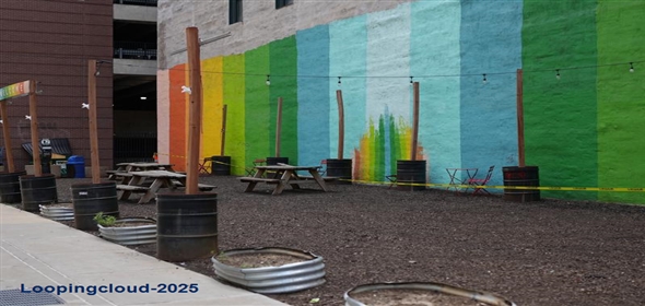 923 Locust Street Saint Louis Missouri, 63101 | Downtown St. Louis Commercial Lot-2660 SF