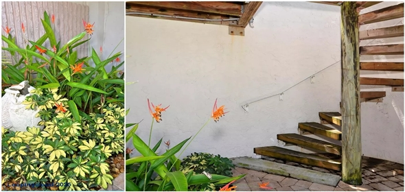 11 SUNSET DR #505 Sarasota Florida, 34236 | 11 SUNSET DR #505