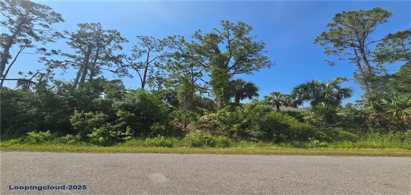 ALVA ST North Po Florida, 34291 | Exclusive Lot for Sale on ALVA ST North Port