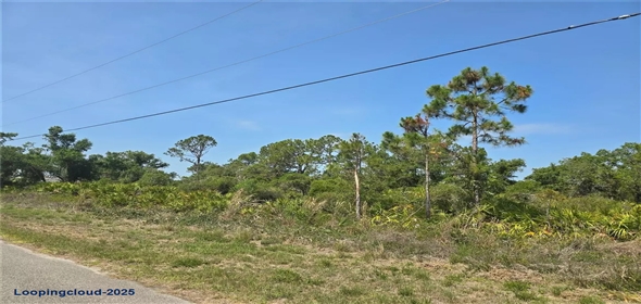 ALVA ST North Po Florida, 34291 | Exclusive Lot for Sale on ALVA ST North Port