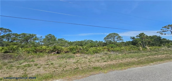 ALVA ST North Po Florida, 34291 | Exclusive Lot for Sale on ALVA ST North Port