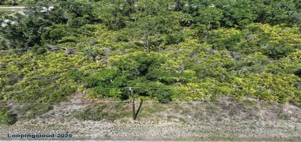 ALVA ST North Po Florida, 34291 | Exclusive Lot for Sale on ALVA ST North Port
