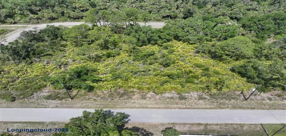 ALVA ST North Po Florida, 34291 | Exclusive Lot for Sale on ALVA ST North Port