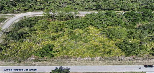 ALVA ST North Po Florida, 34291 | Exclusive Lot for Sale on ALVA ST North Port