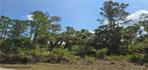 CLATTLEYA AVE North Port Florida, 34288 | CLATTLEYA AVE North Port