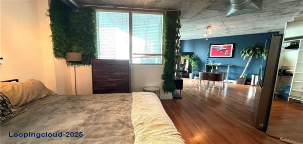 690 SW 1st Ct 1934 Miami Florida, 33130 | Exclusive Apartment