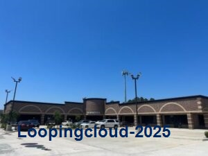 10717 Sagetree Drive