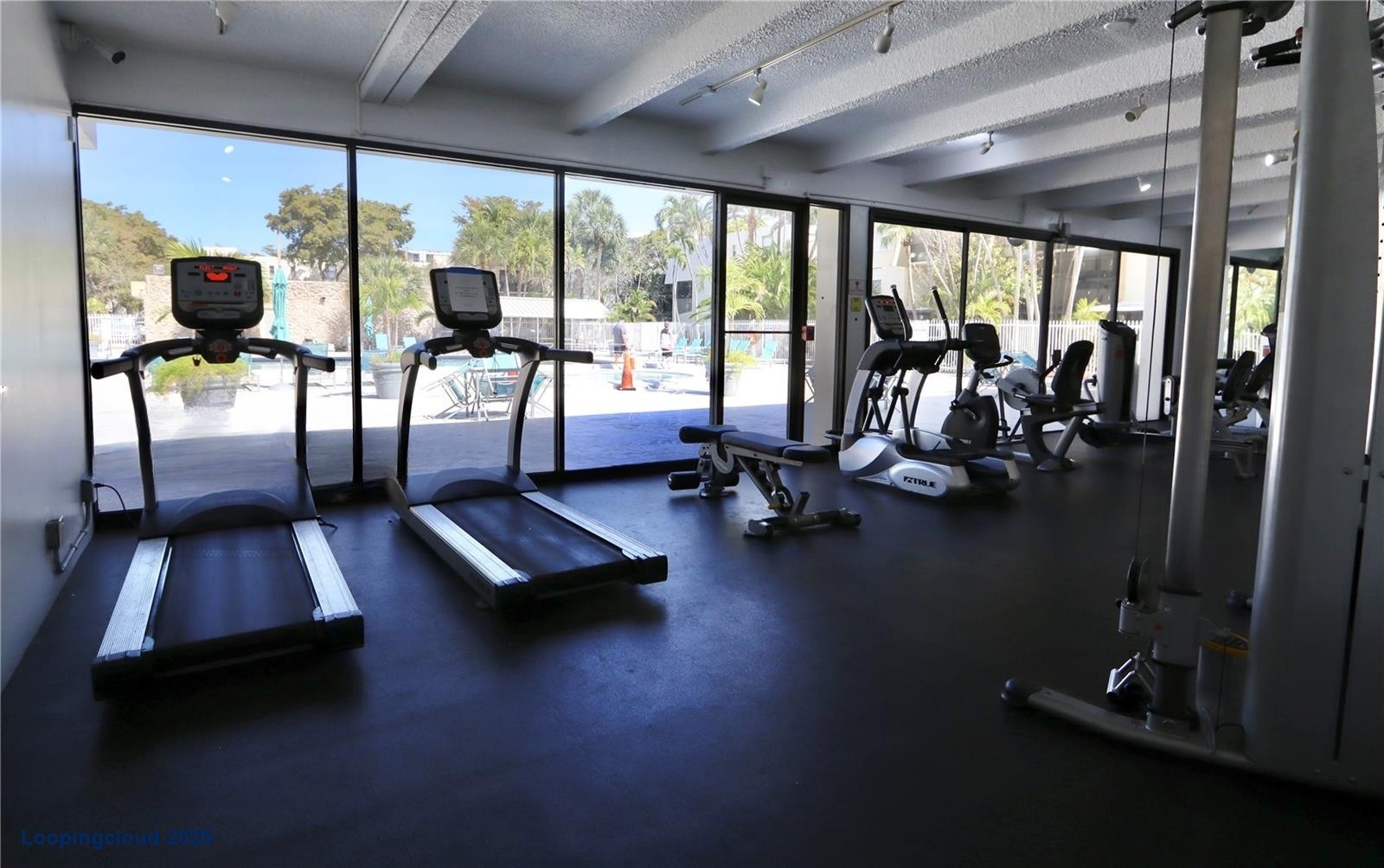 Well-Maintained 1-Bedroom Condo with Low Maintenance Fees