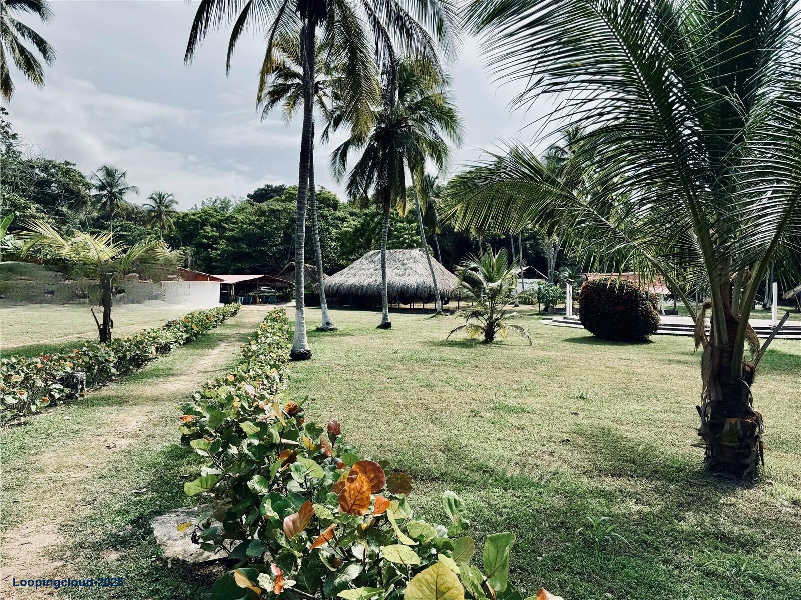 Commercial Property for Sale in Santa Marta Magdalena 470001