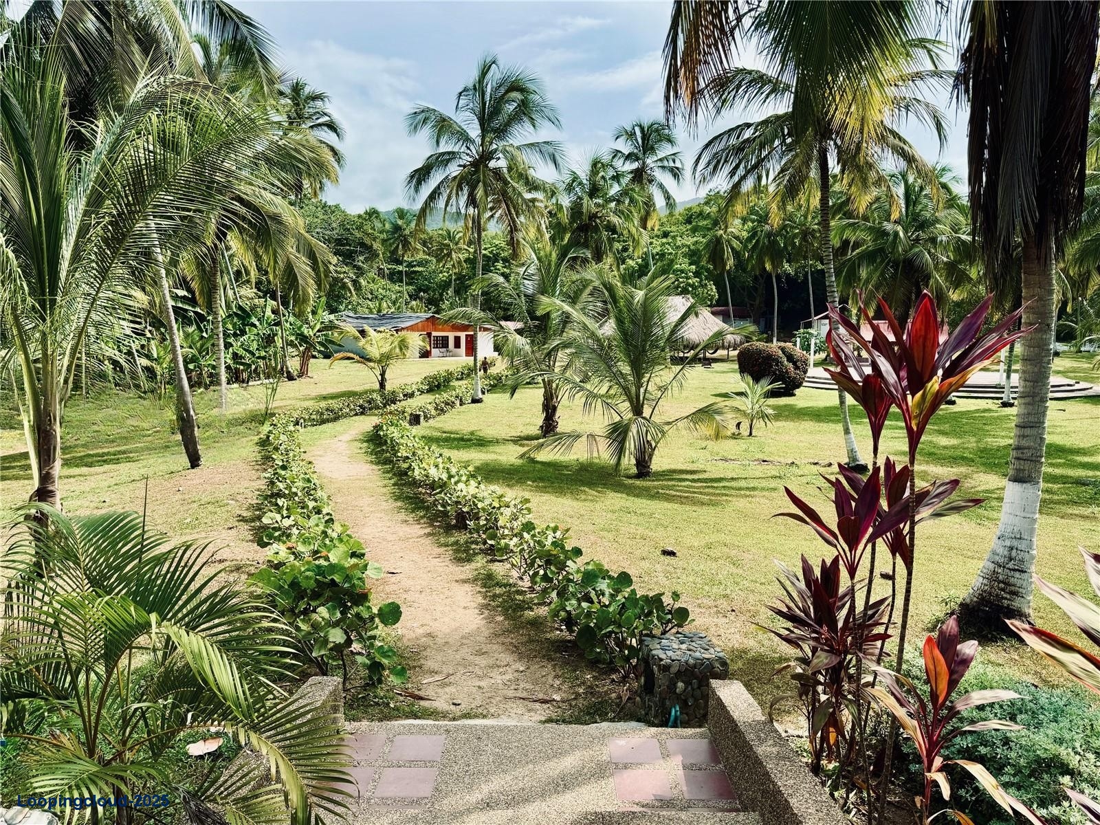 Commercial Property for Sale in Santa Marta Magdalena 470001