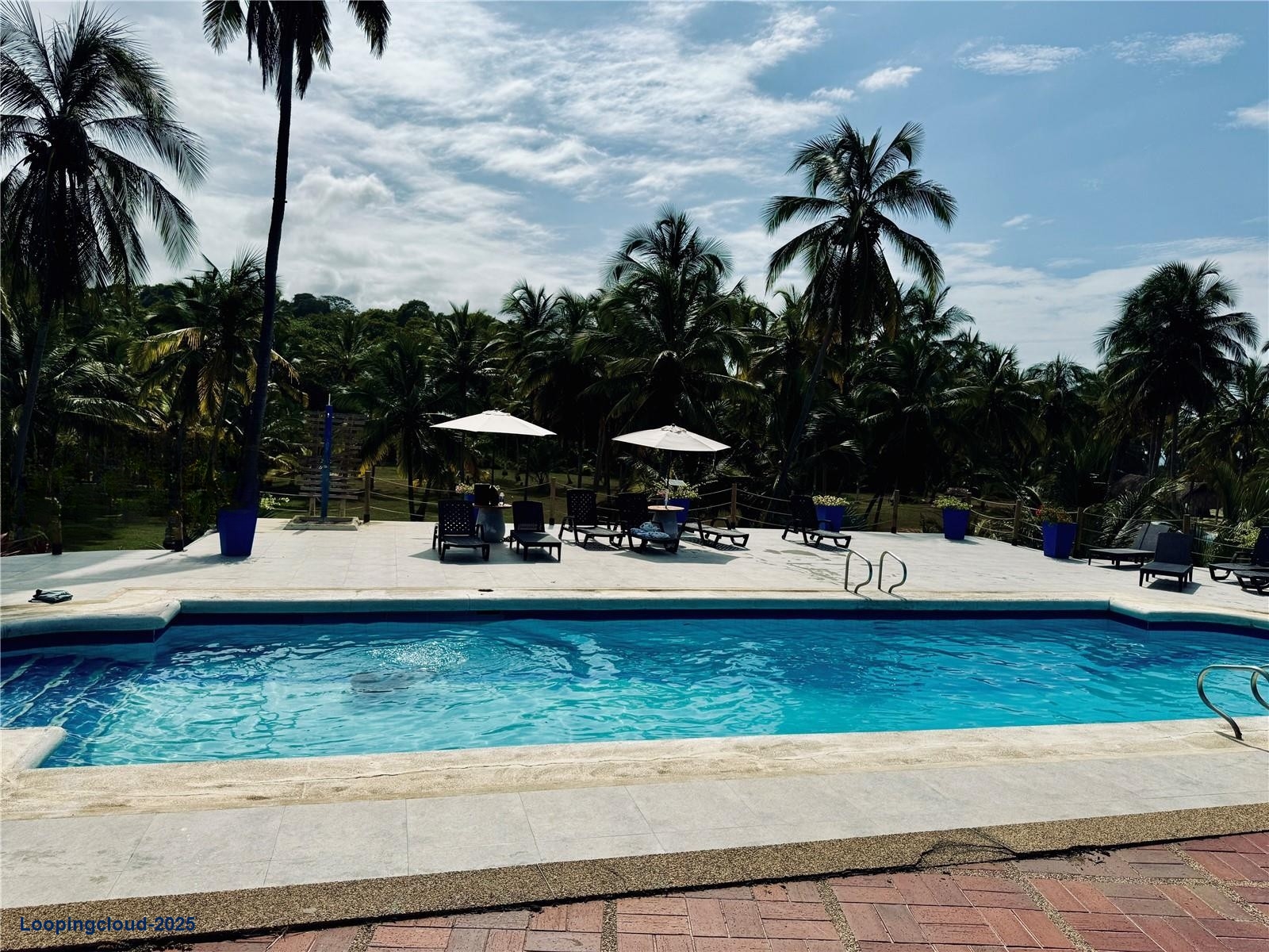 Commercial Property for Sale in Santa Marta Magdalena 470001