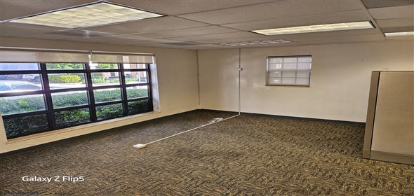 354 Minorca Ave Coconut Grove Florida, 33134 | Professional Offices at 354 Minorca Avenue