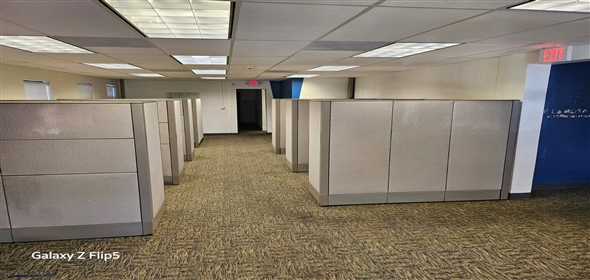 354 Minorca Ave Coconut Grove Florida, 33134 | Professional Offices at 354 Minorca Avenue