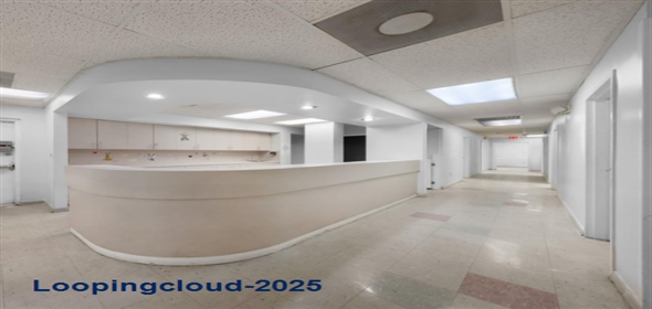 2901 NW 17th Ave Miami Florida, 33142 | Beautiful Free Standing Space