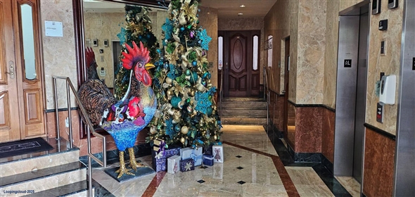 770 Ponce de Leon Coral Gables Florida, 33134 | Full Floors on Ponce De Leon