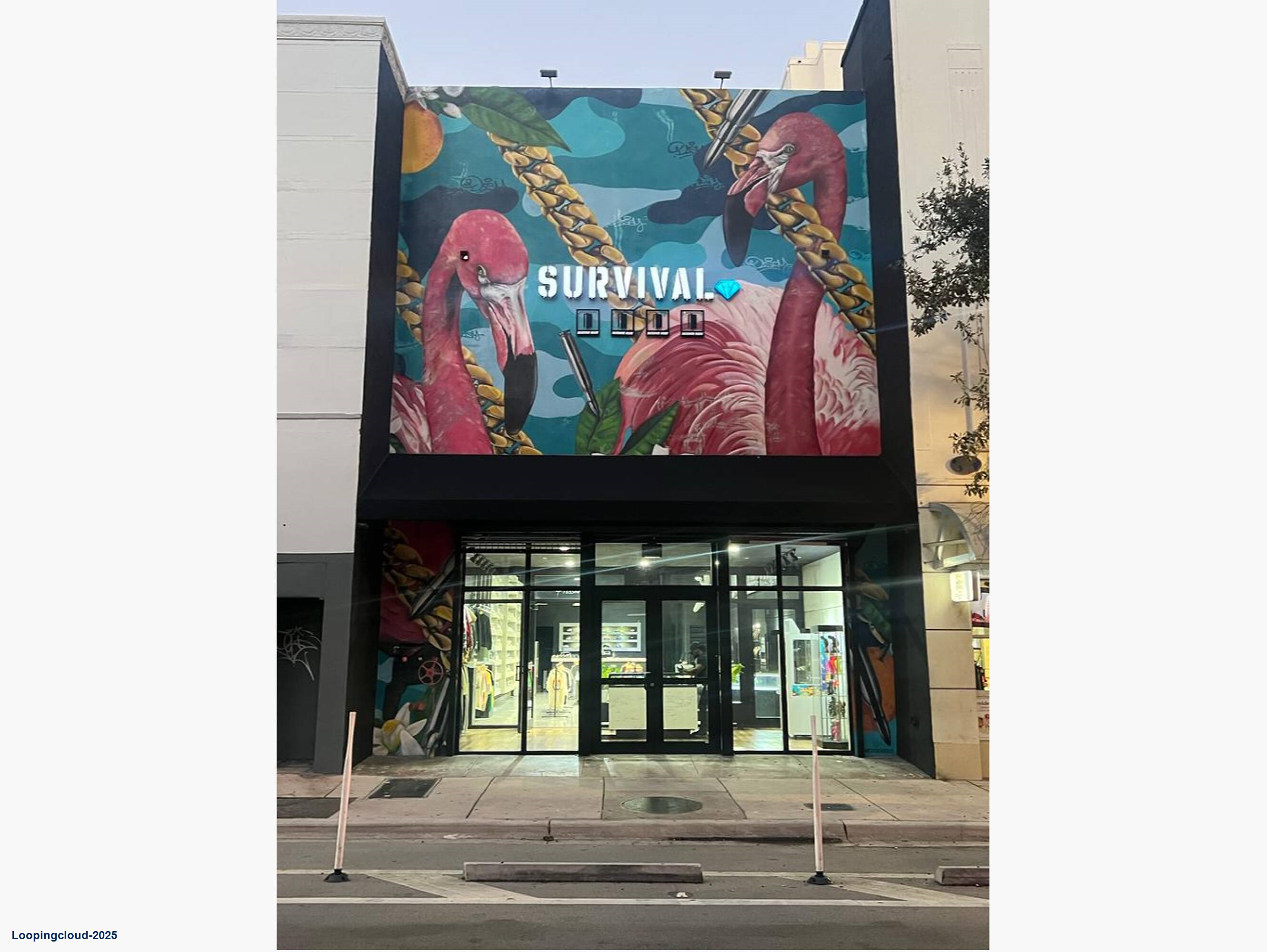 Downtown Miami Single Tenant Retail Opportunity