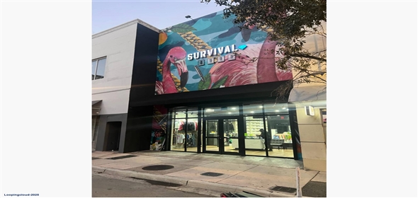 31 N Miami Ave Miami Florida, 33128 | Downtown Miami Single Tenant Retail Opportunity