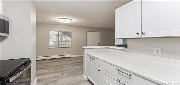 2225 S Jasmine Street #102 Denver Colorado, 80222 | Stunning Remodeled Ground Floor Unit!