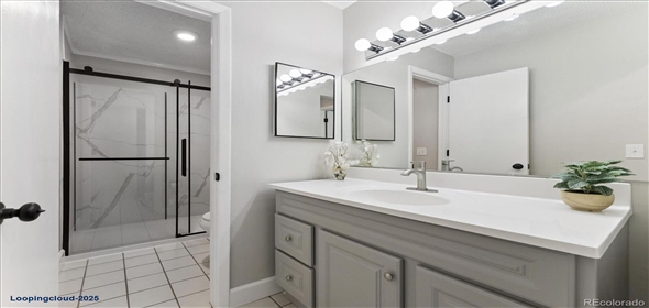 2225 S Jasmine Street #102 Denver Colorado, 80222 | Stunning Remodeled Ground Floor Unit!