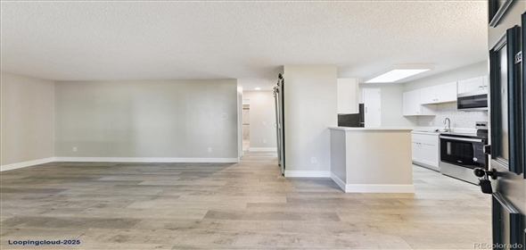 2225 S Jasmine Street #102 Denver Colorado, 80222 | Stunning Remodeled Ground Floor Unit!