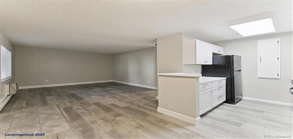 2225 S Jasmine Street #102 Denver Colorado, 80222 | Stunning Remodeled Ground Floor Unit!