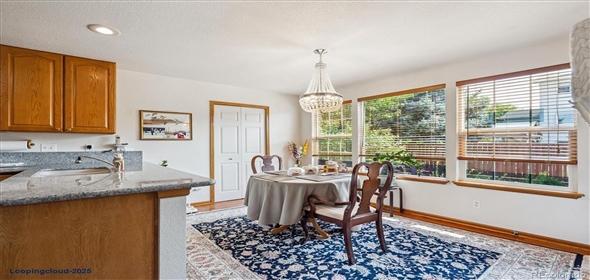 8950 XAVIER ST Denver Colorado, 80031 | Beautiful Home