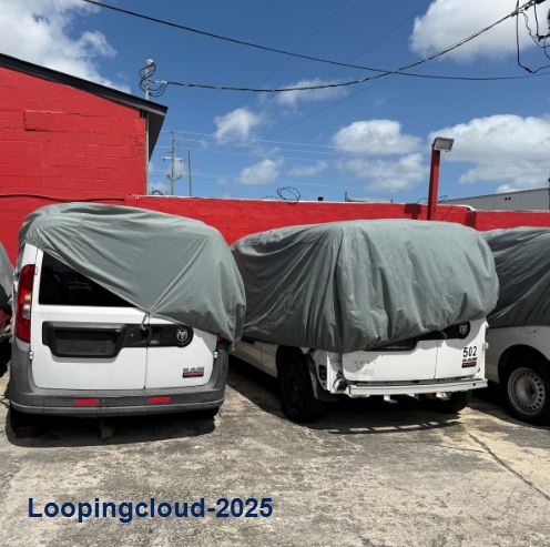 Automotive Professional Services