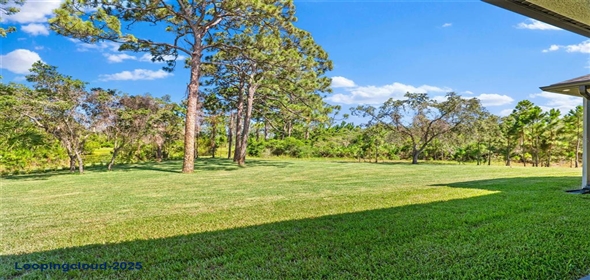 1907 POSITANO DRIVE Malabar Florida, 32950 | Single Family Residence 4 Bedrooms 3427SqFt at MALABAR