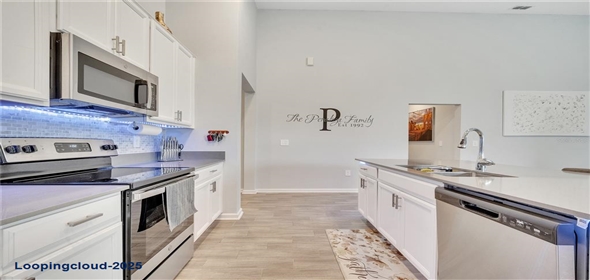 729 HITCH LOOP Saint Cloud Florida, 34772 | Single Family Residence 4 Bedrooms 2439SqFt at ST CLOUD