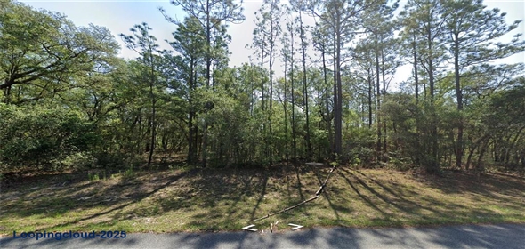 8123 N YELLOWBIRD AVENUE Dunnellon Florida, 34434 | For Sale at DUNNELLON