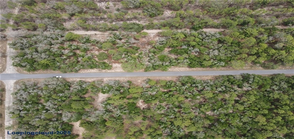 8123 N YELLOWBIRD AVENUE Dunnellon Florida, 34434 | For Sale at DUNNELLON