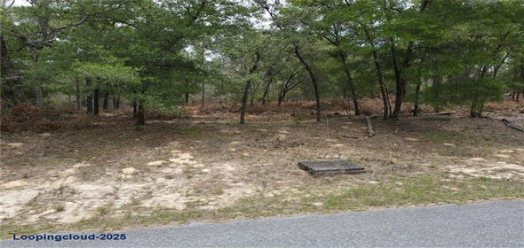 8123 N YELLOWBIRD AVENUE Dunnellon Florida, 34434 | For Sale at DUNNELLON